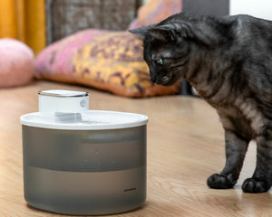 Innovagoods Laddningsbar Kattfontän Med Sensor Refopet Innovagoods