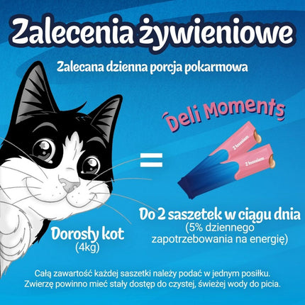 Purina Snack For Cats Purina Felix Deli Moments Salmon 4 X 10 G