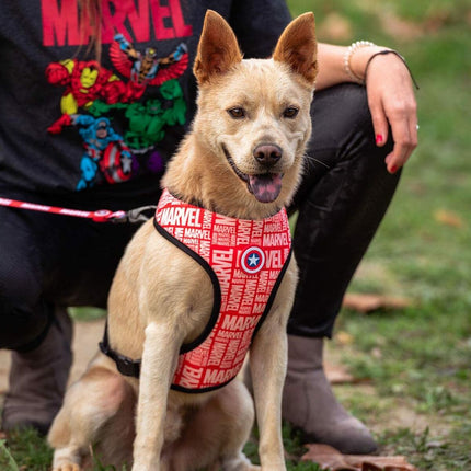 Marvel Hundsele Marvel Xxs/Xs Röd