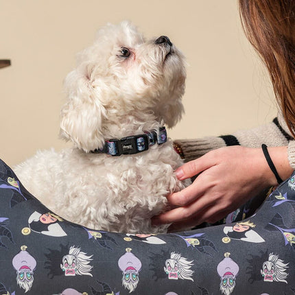 Disney Hundhalsband Disney