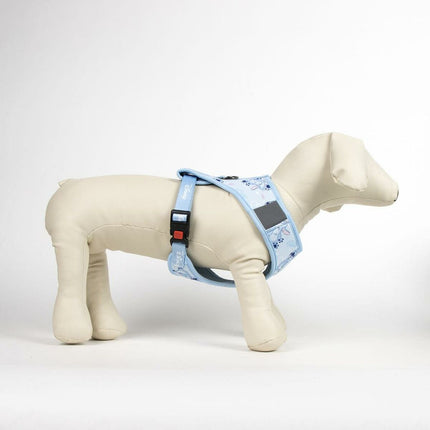 Stitch Hundsele Stitch