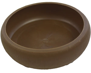 Komodo-Mehlwurmgericht