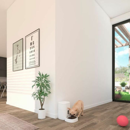Calex Automatisk Matare Calex Smart Petfeeder