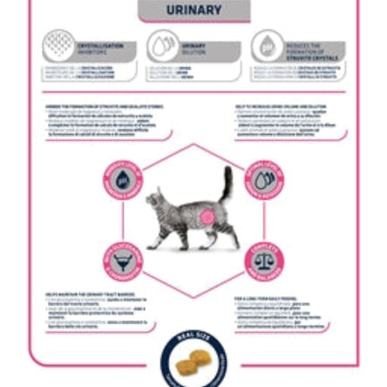 Advance Veterinary Diet Cat Urinary Urinewegen droog- en natvoer voor katten met urinewegproblemen