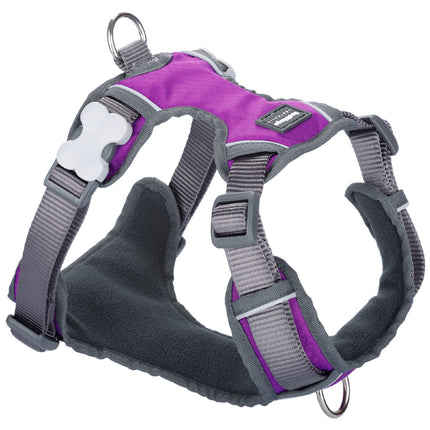 Red Dingo Hundsele Red Dingo Dingo 30-47 Cm 37-52 Cm Purpur S