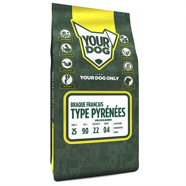 Yourdog Braque Français Type Pyrénées Vuxen