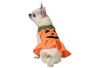 Bigbuy Pets Hundkostym Pumpa Storlek L