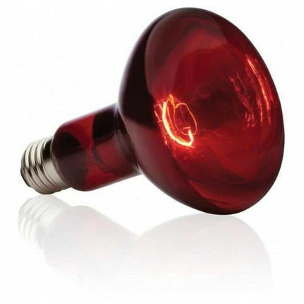 Exo Terra Lampa Exo Terra Basking Spot Infrarött 75 W