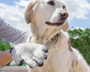 Innovagoods Handske För Att Borsta Och Massera Husdjur Från Relpet Innovagoods