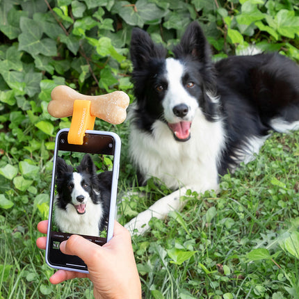 Innovagoods Selfieklämma För Husdjur Pefie Innovagoods