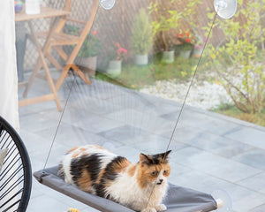 Innovagoods Hängmatta För Katt Catlax Innovagoods