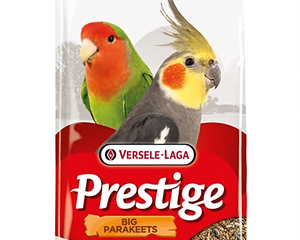 Collection image for: Versele-Laga
