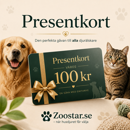 Presentkort 100 kr